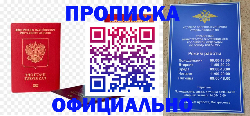 прописка иностранных граждан в Раменском